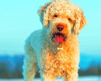 Lagotto Romagnolo Diamond Painting