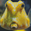 Yellow Longhorn Cowfish Diamond Painting