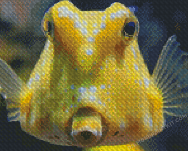 Yellow Longhorn Cowfish Diamond Painting