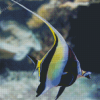 Moorish Idol Fish Diamond Painting