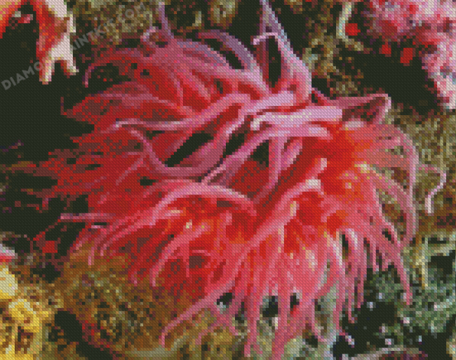 Sea Anemone Diamond Painting