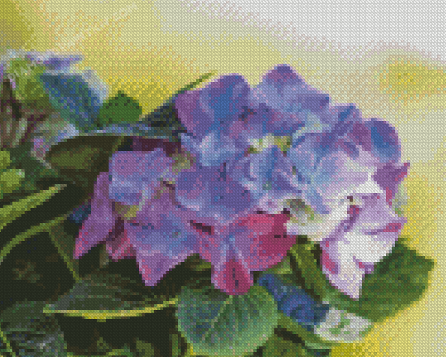 Purple Hortensia Diamond Painting