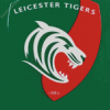 Leicester Tigers Rugby Diamond Painting