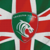 Leicester Tigers Diamond Painting