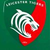 Leicester Tigers Rugby Diamond Painting