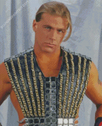 Shawn Michaels Diamond Painting