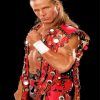 Cool Shawn Michaels Diamond Painting