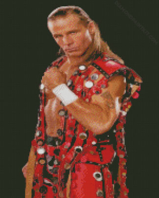 Cool Shawn Michaels Diamond Painting