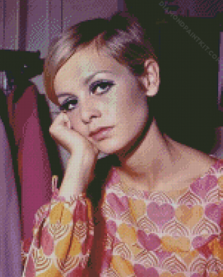 The Model Twiggy Diamond Painting