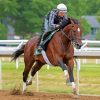 Cody Wish Racehorse Diamond Painting