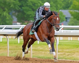 Cody Wish Racehorse Diamond Painting