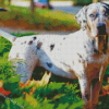 White Catahoula Leopard Dog Diamond Painting