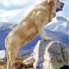 Anatolian Shepherd Diamond Painting