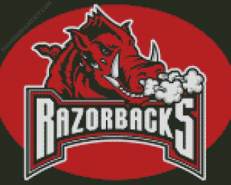 Aesthetic Arkansas Logo Diamond Painting