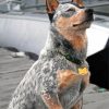 Australian Cattle Dog Diamond Painting