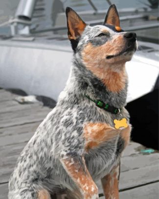 Australian Cattle Dog Diamond Painting