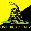 Gadsden Flag Art Diamond Painting