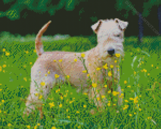 Lakeland Terrier Pet Diamond Painting