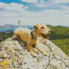 Lakeland Terrier Dog Diamond Painting