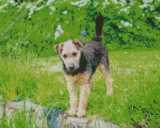 Lakeland Terrier Diamond Painting