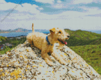 Lakeland Terrier Dog Diamond Painting