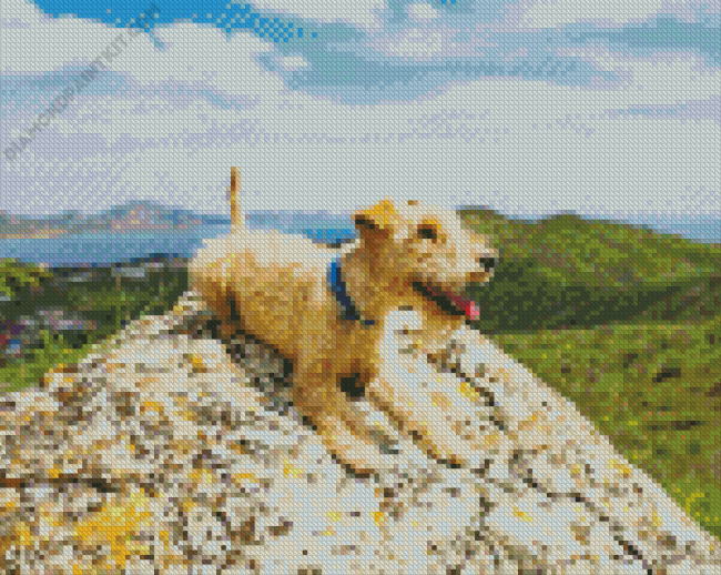 Lakeland Terrier Dog Diamond Painting