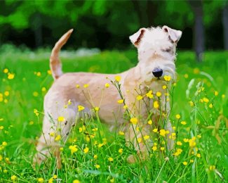 Lakeland Terrier Pet Diamond Painting