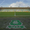 Plymouth Argyle Football Stadium Diamond Painting