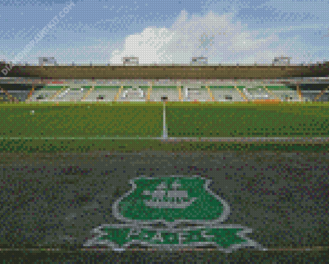 Plymouth Argyle Football Stadium Diamond Painting