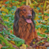 Irish Setter Diamond Painting