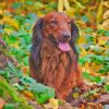 Irish Setter Diamond Painting