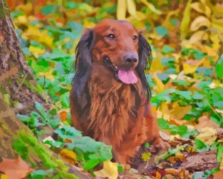 Irish Setter Diamond Painting