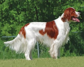 Cool Irish Red White Setter Diamond Painting