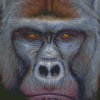 Silverback Gorilla Face Diamond Painting