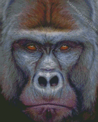 Silverback Gorilla Face Diamond Painting