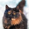 Aesthetic Tortoiseshell Diamond Painting art