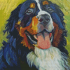 Bernese Mountain Dog Diamond Painting art