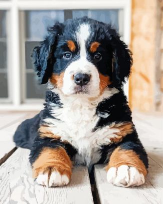 Bernese Mountain Puppy Diamond Painting art