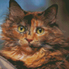 Tortoiseshell Cat Diamond Painting art