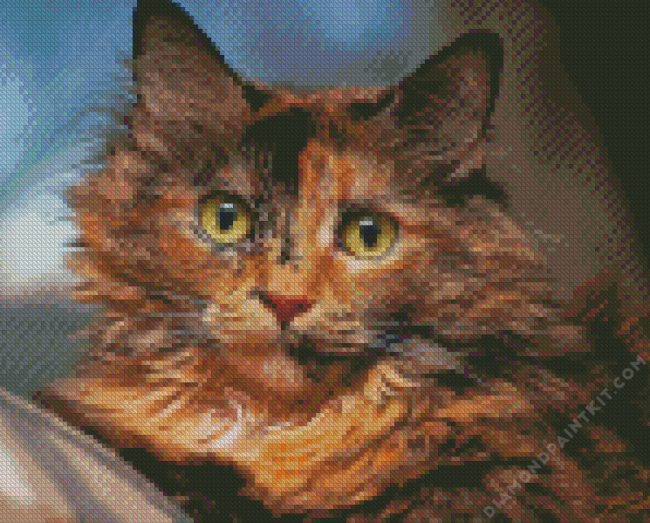 Tortoiseshell Cat Diamond Painting art