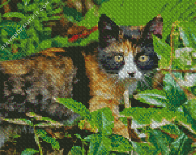 Tortoiseshell Cat Diamond Painting art