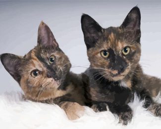 Tortoiseshell Cats Diamond Paintings