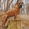 Boerboel Diamond Painting art