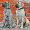 Boerboel Dogs Diamond Painting art