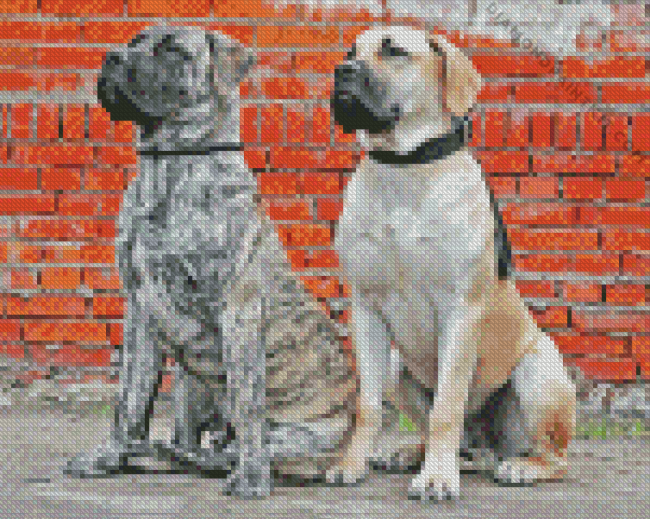 Boerboel Dogs Diamond Painting art