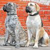 Boerboel Dogs Diamond Painting art