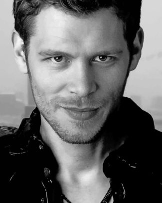 Monochrome Niklaus Mikaelson Diamond Paintings