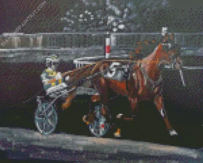 Aesthetic Harness Racing Diamond Painting