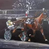 Aesthetic Harness Racing Diamond Paintings