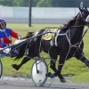 Black Horse Harness Racing Diamond Paintings